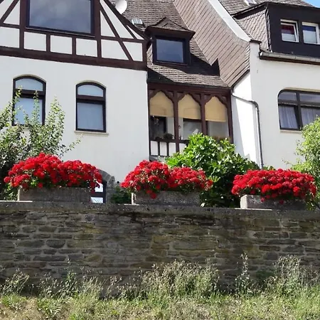 Mosel-ferienwohnung Bewo Apartment